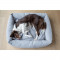 BBR-DB-LOFT-GREY-L